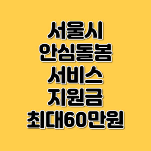 서울시 안심돌봄 서비스